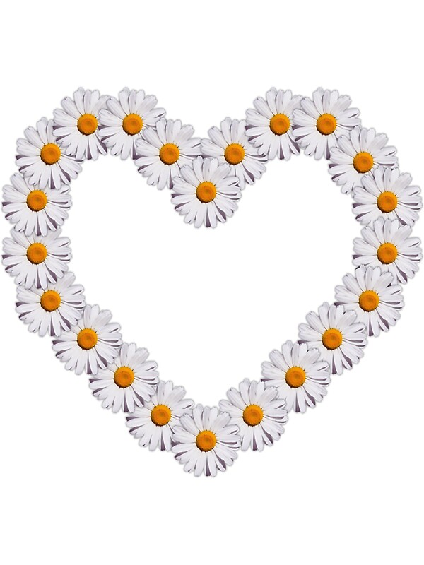 "Daisy Heart" Stickers by rachturnerxx Redbubble