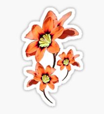 Orange Flowers Sticker