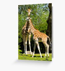 Giraffe mom and baby Greeting Card