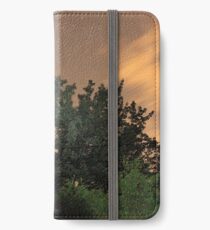 Starry Night iPhone Wallet/Case/Skin