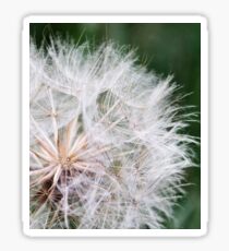 Dandelion Sticker