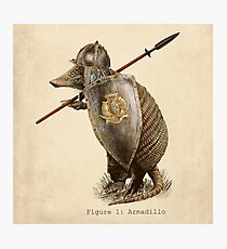 Armadillo Photographic Print