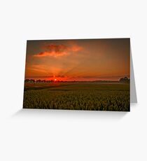 A lovely sunset landscape over Dusseldorf, Germany Greeting Card