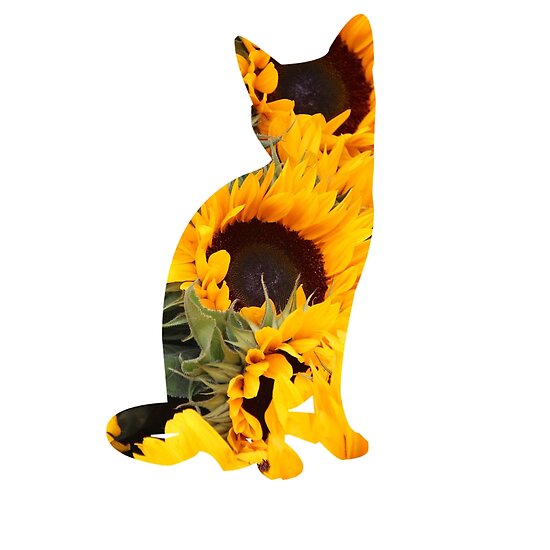 jelly cat sunflower