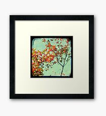 Look Up and Back Framed Print