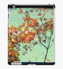 Look Up and Back iPad Case/Skin