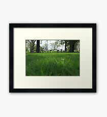 Memorial Framed Print