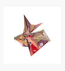Refraction Photographic Print