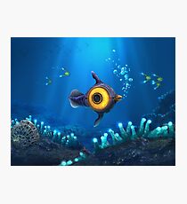 Peeper Photographic Print