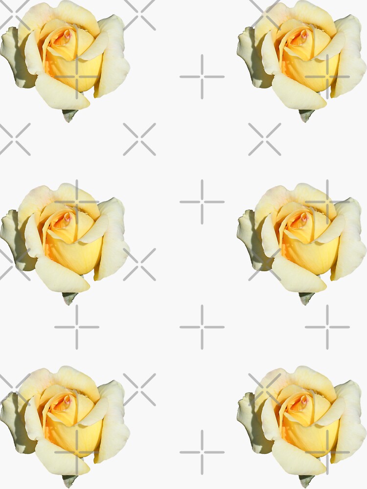 "Yellow Rose" Sticker by STHogan Redbubble