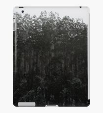 Snow Dusted Trees iPad Case/Skin