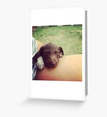 Bilbo Greeting Card