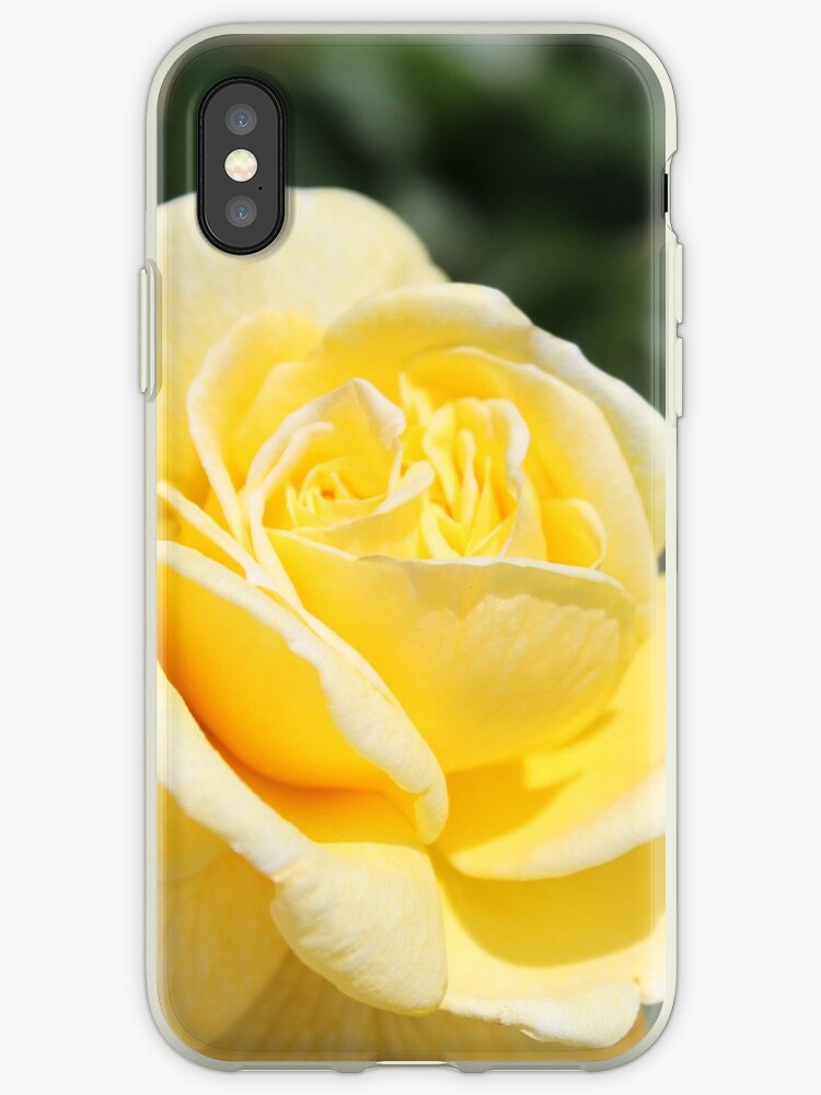 "pretty yellow rose flower." iPhone Cases & Covers by naturematters