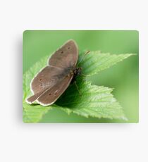 Ringlet Canvas Print