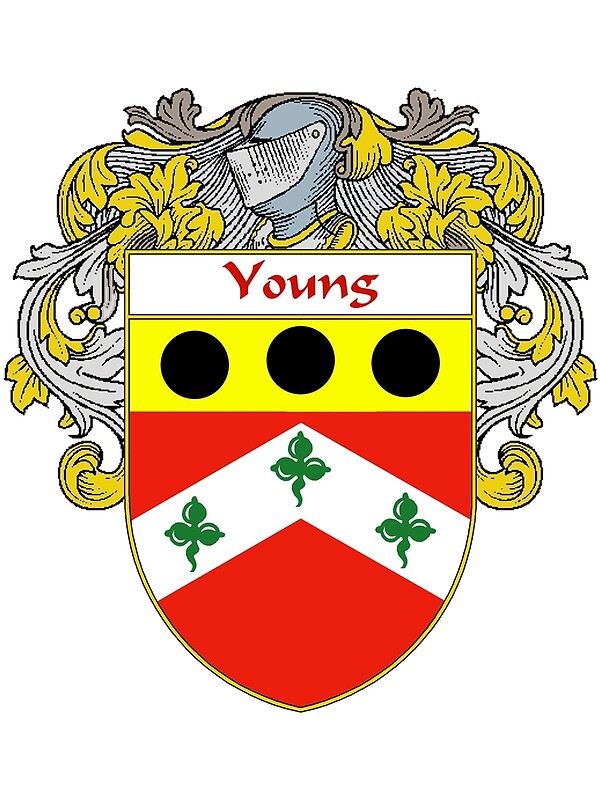"Young Coat of Arms / Young Family Crest" by William Martin Redbubble