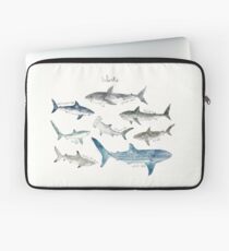 Haie - Querformat Laptoptasche