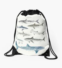 Mochila saco Tiburones - Formato del paisaje