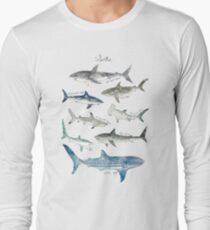 Camiseta de manga larga Tiburones - Formato del paisaje