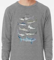 Sharks - Landscape Format Lightweight Sweatshirt