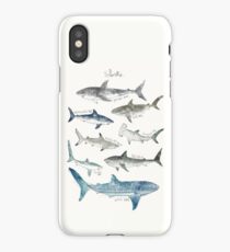 Sharks - Landscape Format iPhone Case/Skin
