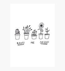 Plants Are Friends Photographic Print