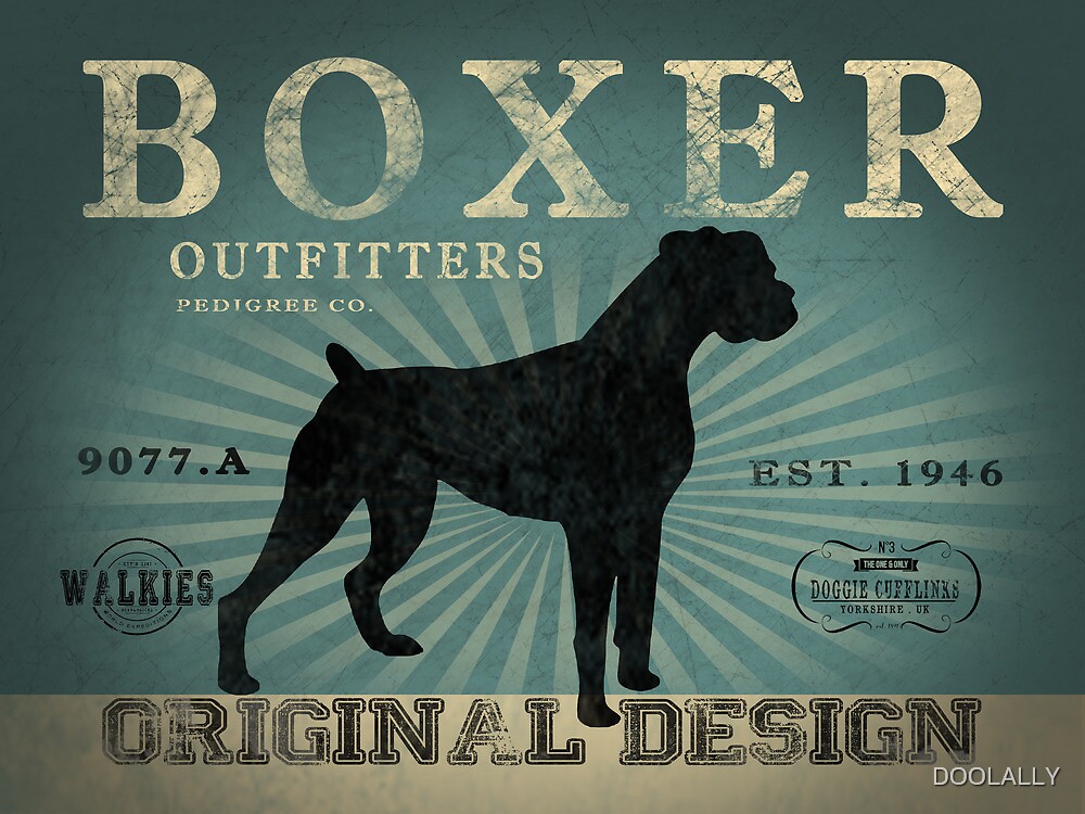 "VINTAGE BOXER DOG ORIGINAL ART PRINT" by DOOLALLY Redbubble