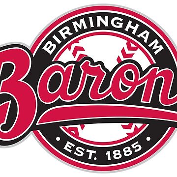 Birmingham Barons icons Kids T-Shirt for Sale by OchidCorn