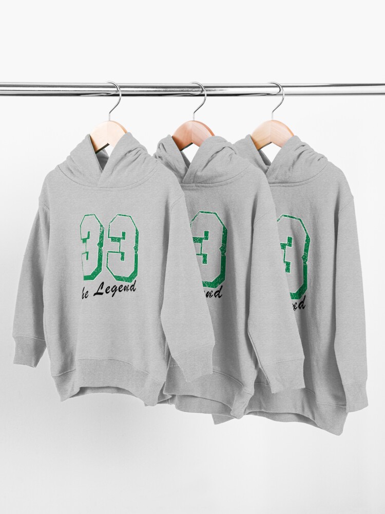 Alternate view of The Legend Toddler Pullover Hoodie