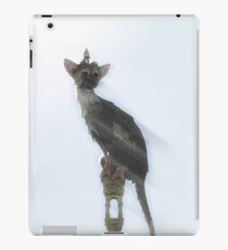 The Last Guardian - PS4 iPad Case/Skin