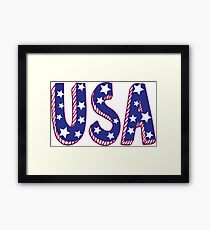 USA Framed Print