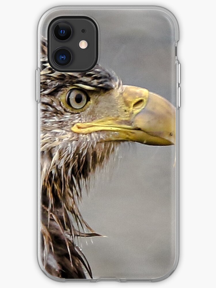 eagle head iphone 11 case eagle head iphone 11 case