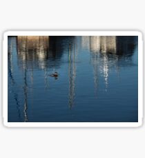 Young Red-Necked Grebe on Silver Sticker