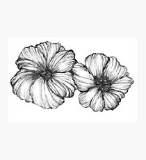Floral Ink II Photographic Print