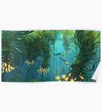 Exploring the Kelp Forest Poster