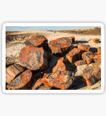 USA. Arizona. Petrified Forest National Park. Sticker