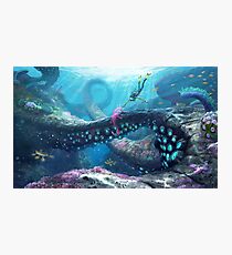 Twisty Bridges Photographic Print