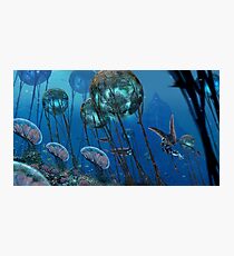 The Grand Reefs Photographic Print