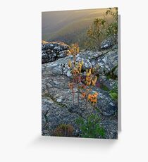 Backlight Greeting Card