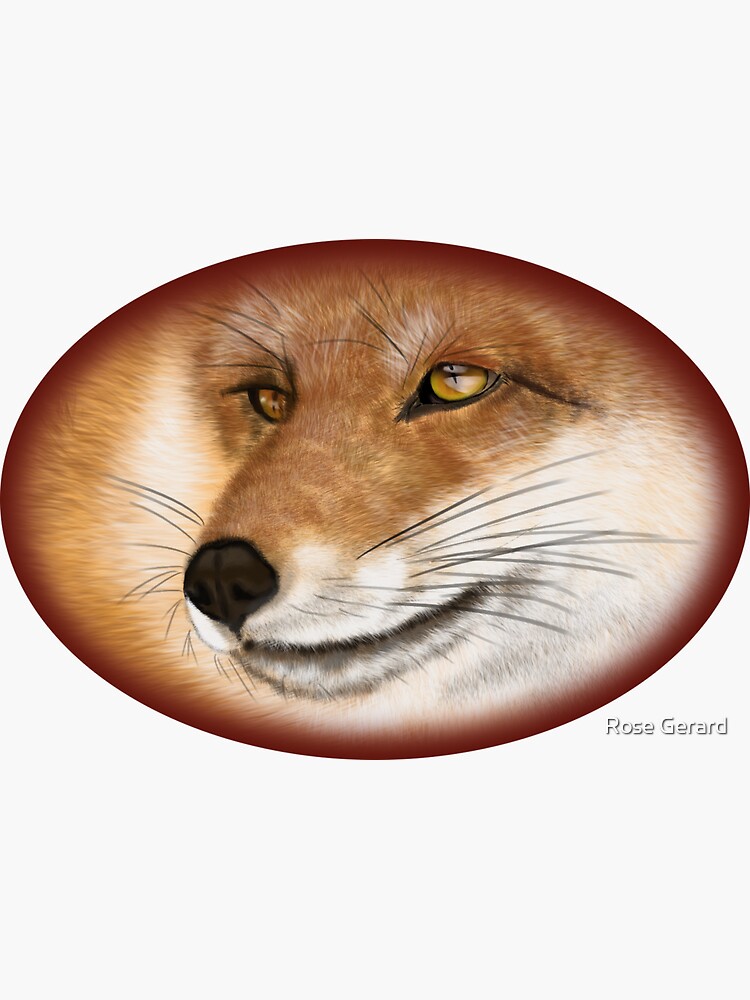 Red Fox by arkadyrose