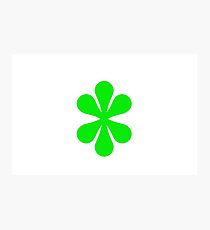 Green Flower Photographic Print