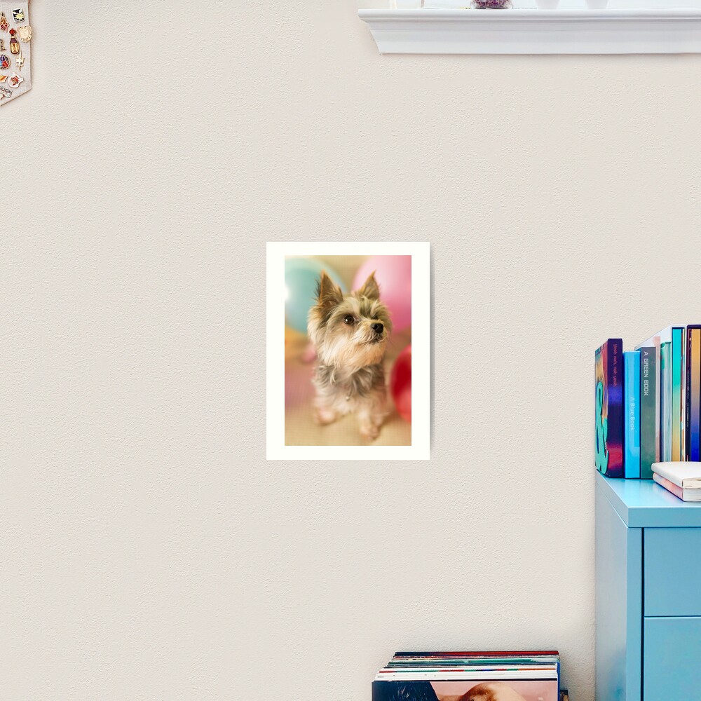 It's My Birthday! Art Print