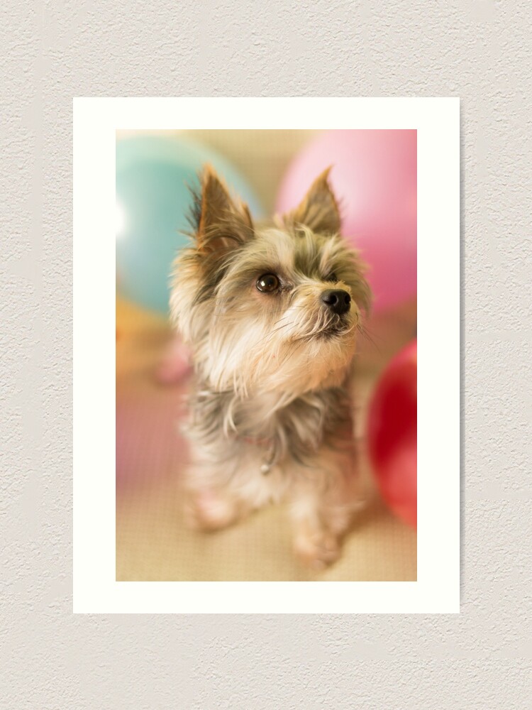Alternate view of It's My Birthday! Art Print