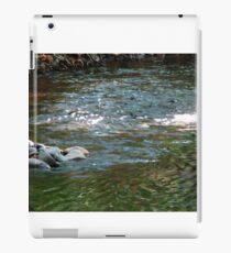 Water iPad Case/Skin