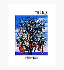 Talk Talk - Spirit of Eden Photographic Print