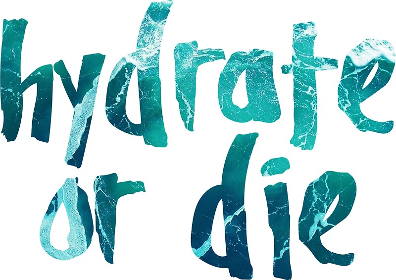 "Hydrate or Die" Stickers by kayceedesigns Redbubble