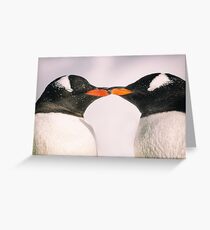 Penguin Kiss - Antarctica Greeting Card