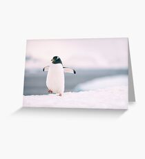 Happy Feet - Antarctica Greeting Card