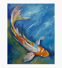Yamato Nishiki Koi Photographic Print