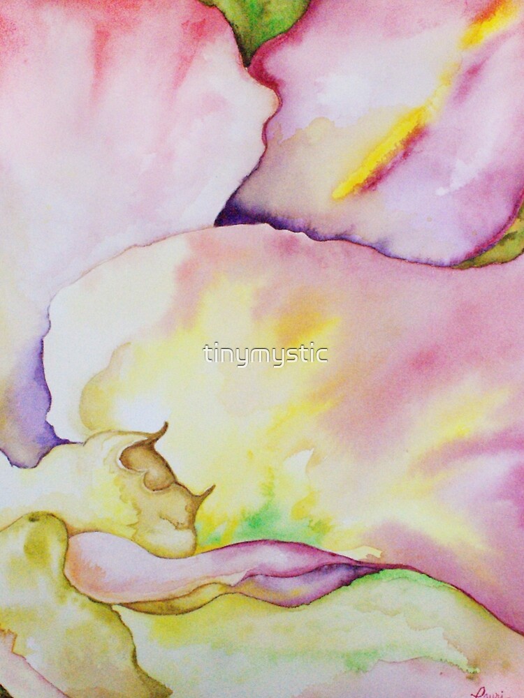 Nahes hohes der Blume von tinymystic