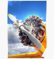 Plane Poster